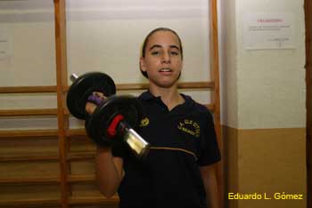 Ariadna biceps